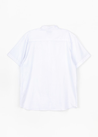 Белая повседневный рубашка однотонная Stendo