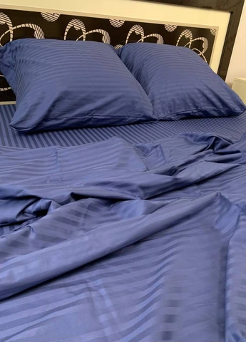 Комплект постельного белья Satin Stripe Pale Blue 100% хлопок 220х180 см No Brand (259942472)