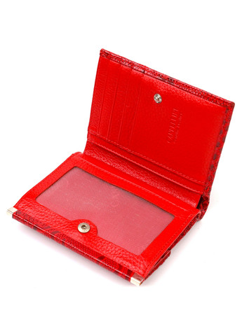 Кожаный кошелек женский 12х9,8х1,5 см Canpellini (259961852)