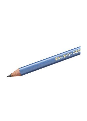 Набір олівців чорнографітних тригранних Evolution Triangle HB з гумкою 3 шт Bic 3086123538368 (259967229)