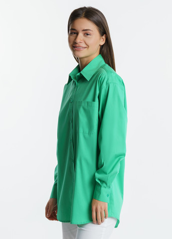 Зеленая кэжуал рубашка однотонная Arber