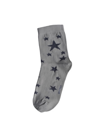 Сірі шкарпетки жіночі класичні Siela (260063104)