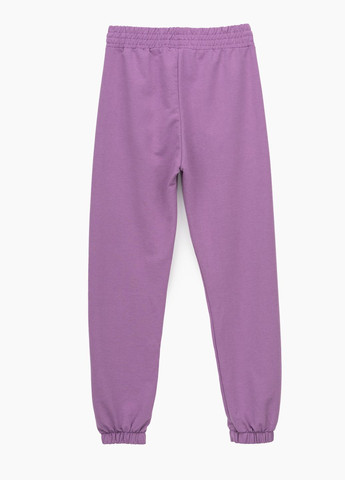 Фиолетовые спортивные демисезонные брюки No Brand