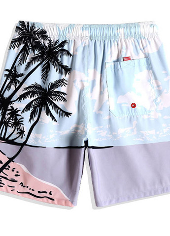 Мужские пляжные шорты Gailang (260166826)