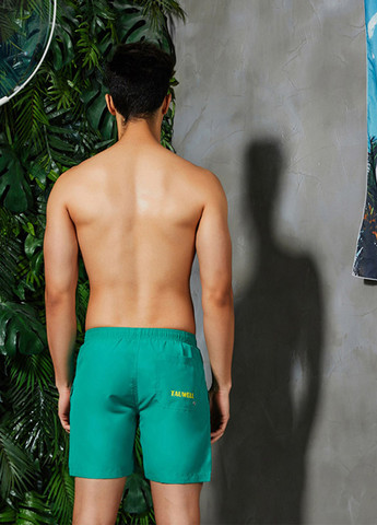 Зеленые мужские пляжные шорты с сеткой подкладкой Tauwell (260167190)