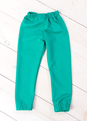 Зеленые повседневный демисезонные прямые брюки Носи своє