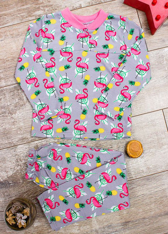 Серая всесезон пижама для девочки на кнопке (6077-024-5-v64) реглан + брюки Носи своє
