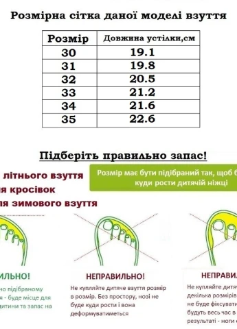 Тапочки Waldi (260264479)