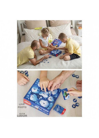 Настольная игра "Айс гонки" Ludum (260268635)