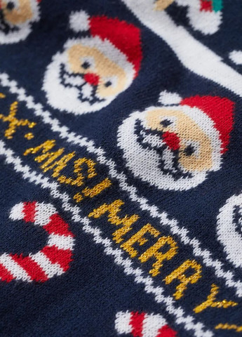 Темно-синій демісезонний светр H&M