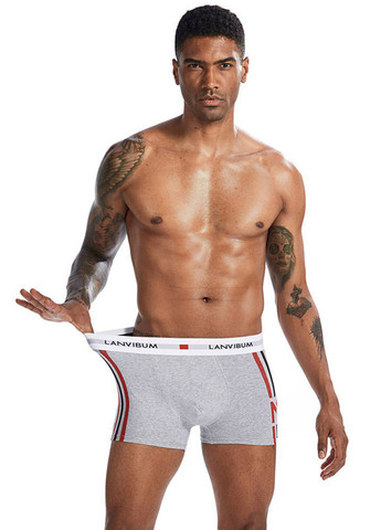 Мужские трусы боксеры Серый Мужское нижнее белье Lanvibum (260360419)