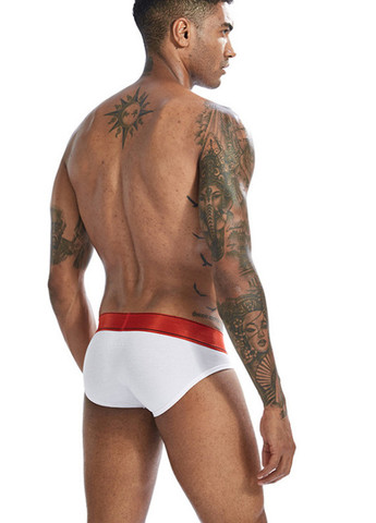 Мужские трусы брифы Белый Брендовые мужские трусы Lanvibum (260360089)