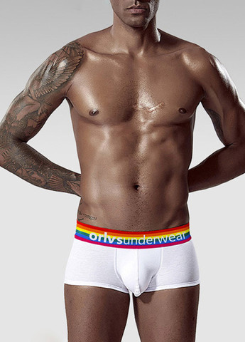 Мужские трусы хипсы Белый Мужские трусы ORLVS (260360123)