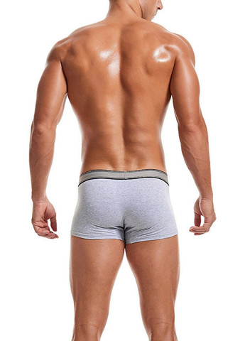 Мужские трусы хипсы Серый Мужские трусы Lanvibum (260360099)