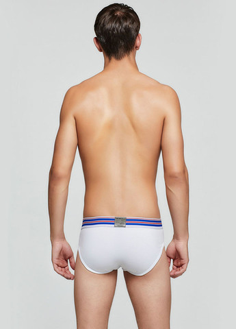 Чоловічі труси брифи Чоловічі білизна Tauwell (260360203)