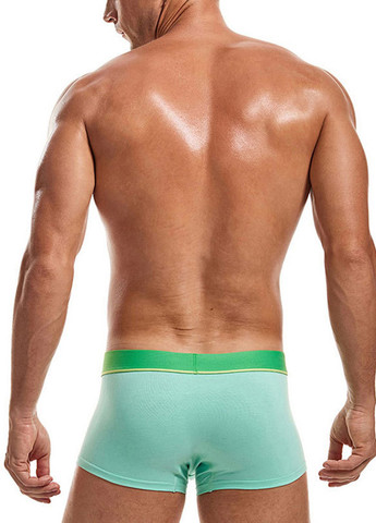 Мужские трусы хипсы Зеленый Мужские трусы боксеры Lanvibum (260360434)