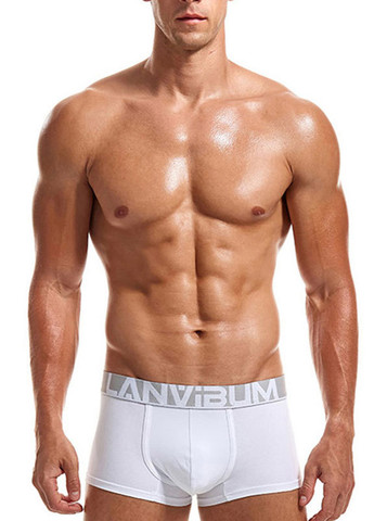 Мужские трусы хипсы Белый Мужские трусы Lanvibum (260360094)