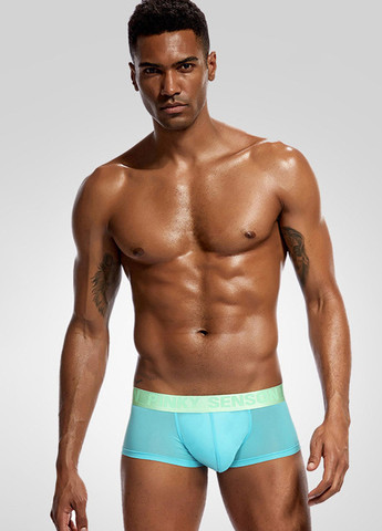 Мужские трусы хипсы Бирюзовый Мужское прозрачное белье Pinky Senson (260360136)