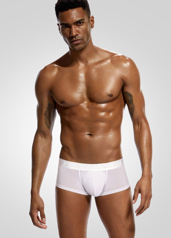 Мужские трусы хипсы Белый Мужские прозрачные трусы Pinky Senson (260360472)