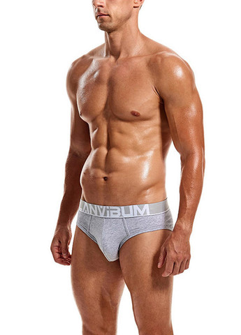 Мужские трусы брифы Серый Мужские трусы Lanvibum (260360643)