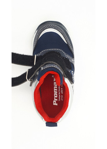 Темно-синие всесезонные кроссовки Promax