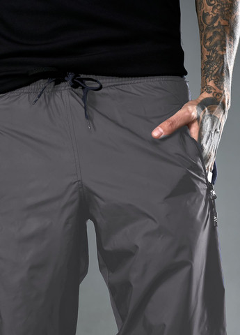 Серые демисезонные брюки Tailer