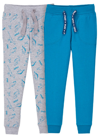 Серо-синие спортивные демисезонные брюки Pocopiano