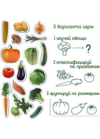 Набор магнитов "Овощи" 3,7х17х12 см MAGDUM (260497730)