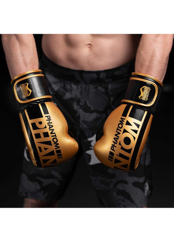 Боксерские перчатки 10 унций No Brand (260497294)