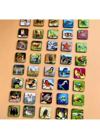 Настільна гра, що розвиває "Види тварин" комодик-сортер 9х8х23 см Ubumblebees (260512805)