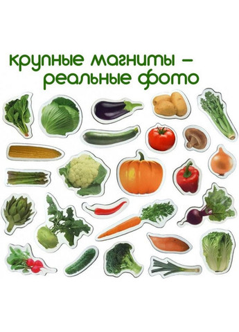 Набор магнитов "Овощи" 3,7х17х12 см MAGDUM (260532279)