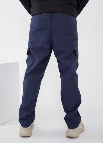Синие зимние брюки Tailer