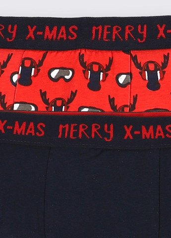 Трусы Coccodrillo (260551881)