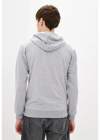 Чоловіча кофта з капюшоном на блискавці Sport Line (260631592)