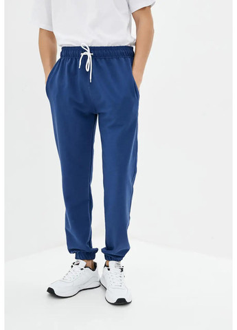 Штани чоловічі без начісу Sport Line (260631708)