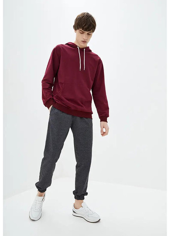 Худи мужской без начеса Sport Line (260631663)