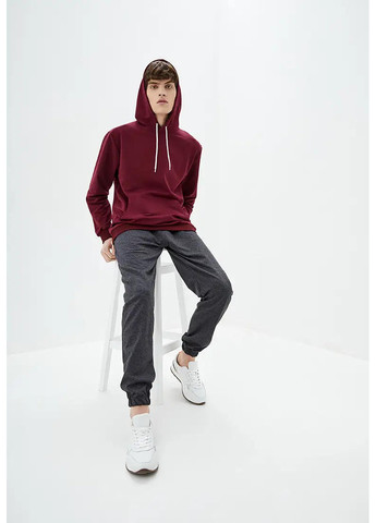 Худи мужской без начеса Sport Line (260631663)