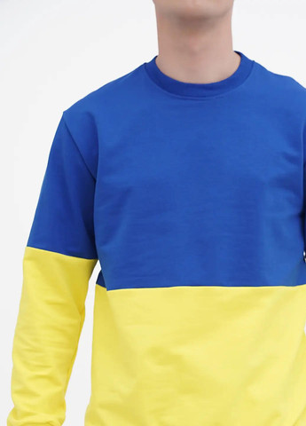 Комбинированный свитшот мужской, патриотический Sport Line однотонный (260631571)