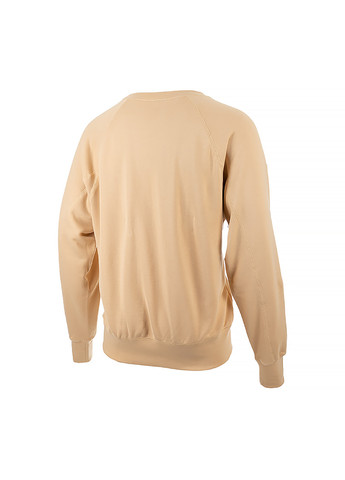 Бежевий чоловічий світшот air ft hoodie бежевий Nike (260646595)