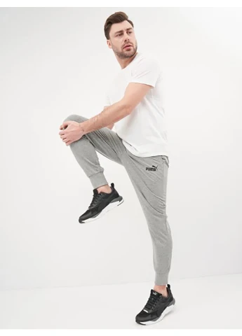 Серые спортивные демисезонные брюки Puma