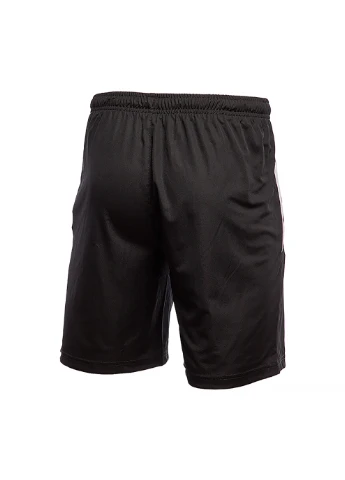 Мужские Шорты teamLIGA Training Shorts 2 Разноцветный Puma (260633613)