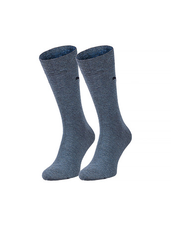 Чоловічі Шкарпетки CLASSIC 2P Сірий Puma (260646081)