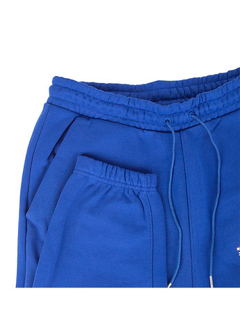 Голубые спортивные демисезонные брюки Jordan