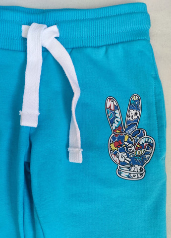 Голубые спортивные демисезонные брюки джоггеры Lupilu