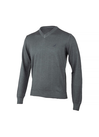 Чоловіча Кофта Sweater Merinos V Neck Сірий Australian (260763756)