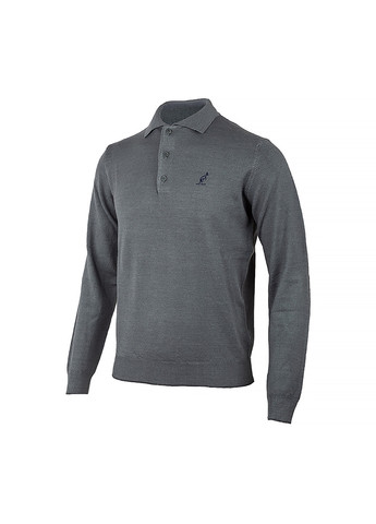 Чоловіча Кофта AUTRALIAN Sweater Polo Neck Сірий Australian (260761670)