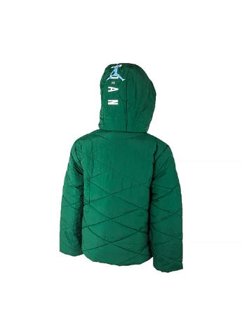 Зеленая демисезонная детская куртка jdb detach hood puffer jacket зеленый Jordan