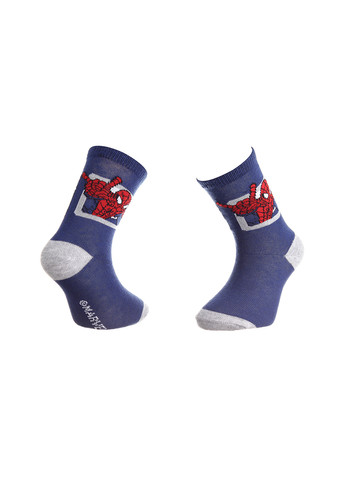 Шкарпетки Spider-Man Ds Carre blue Marvel (260794197)
