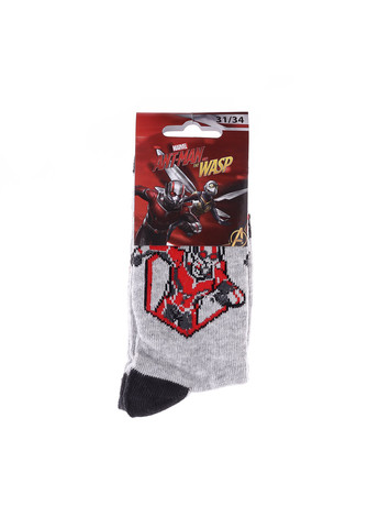 Шкарпетки Bust Ant-Man gray Marvel (260795185)