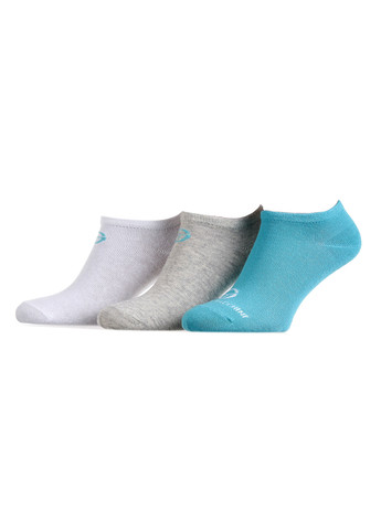 Шкарпетки 3-pack white/gray/light blue Sergio Tacchini (260792064)